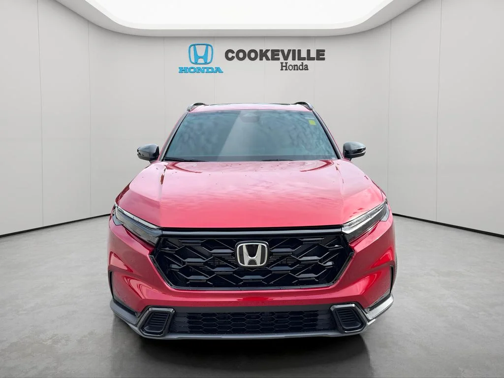 Used 2026 Red Honda Sport image 3