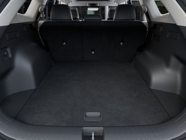 New 2027 Ebony Black Kia EX image 19
