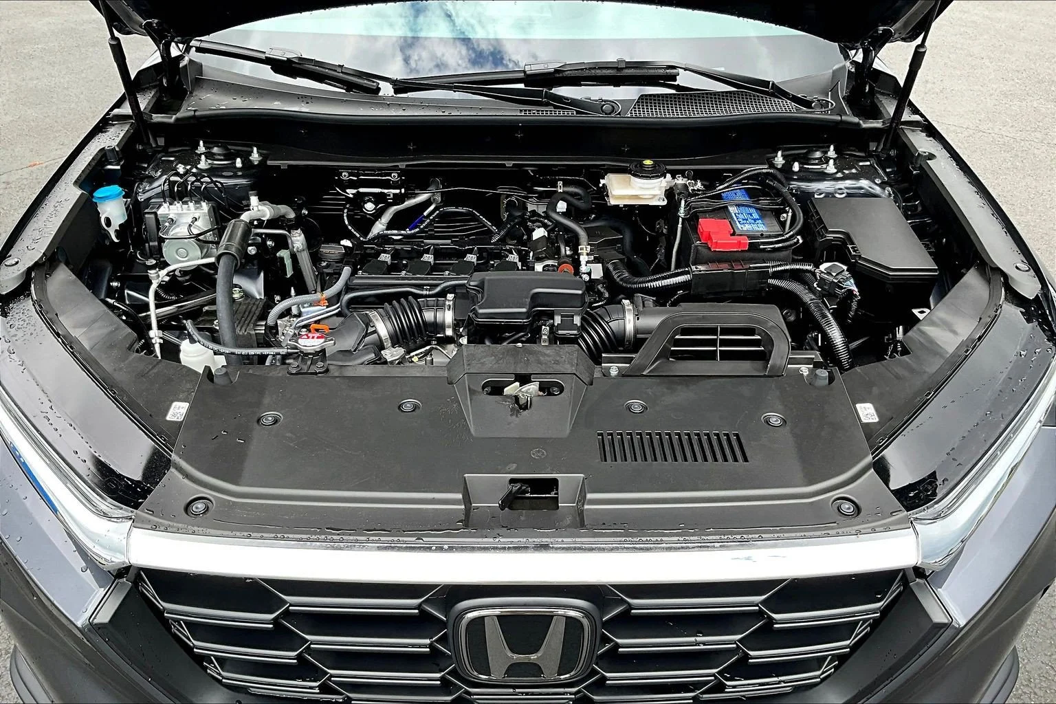 New 2026 Meteorite Gray Metallic Honda LX image 12