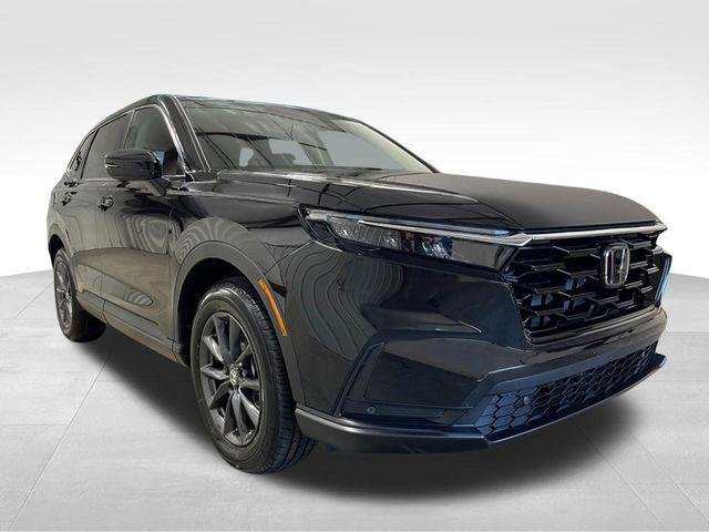 New 2026 Crystal Black Pearl Honda EX-L image 9