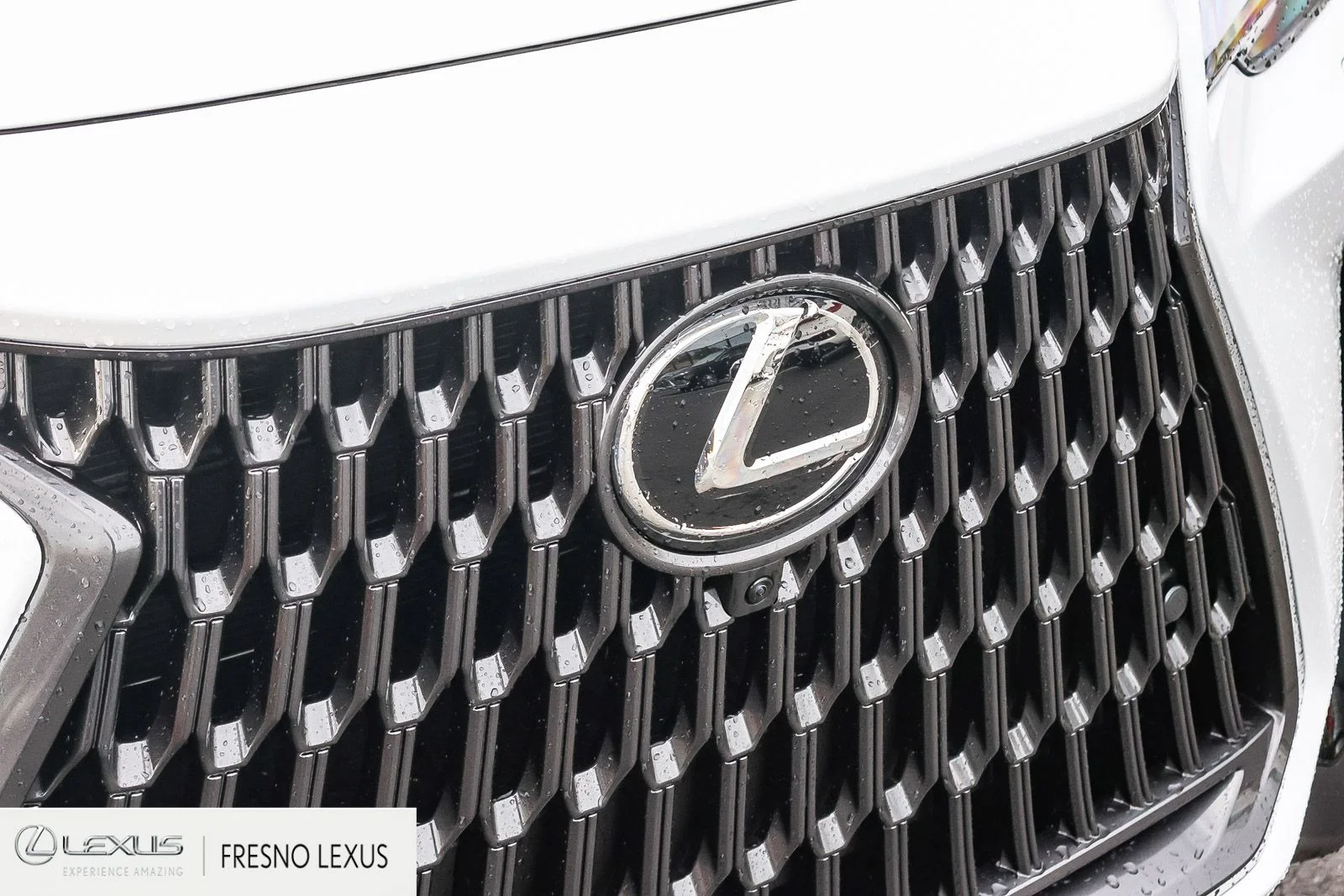 2026 Lexus NX 450h+ Luxury - Photo 11