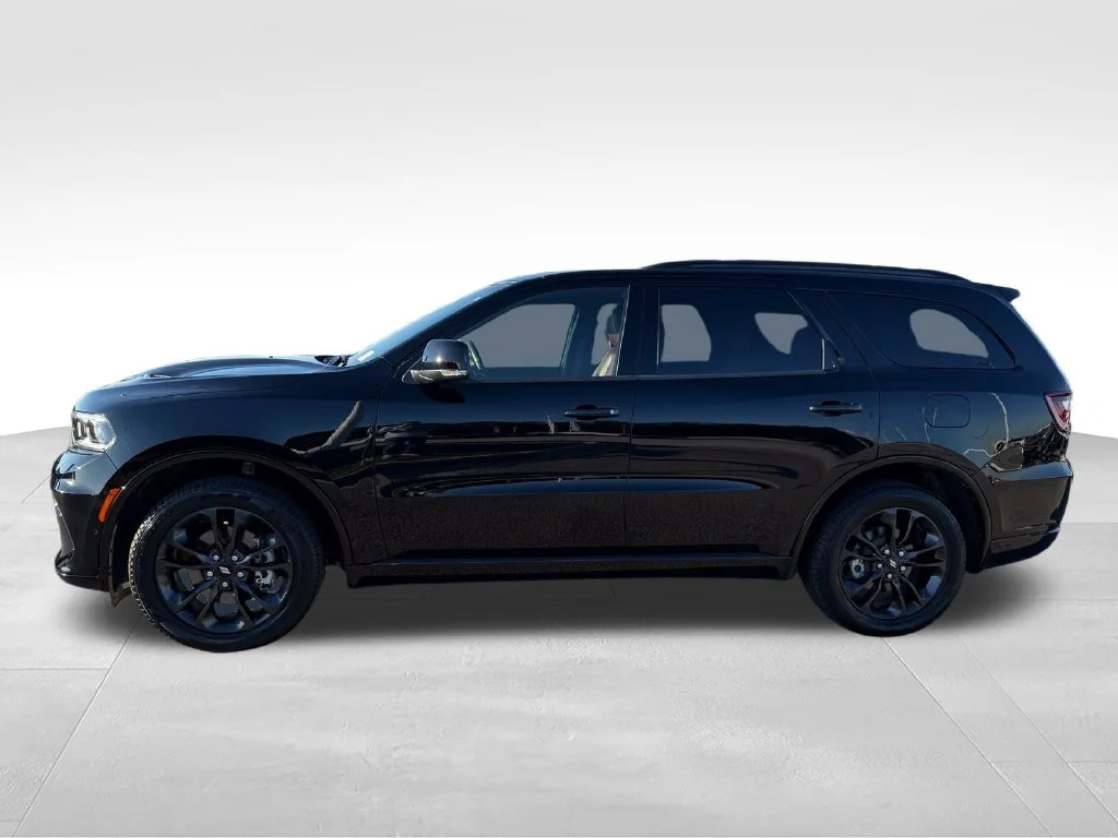 Used 2025 Black Dodge GT Plus image 2