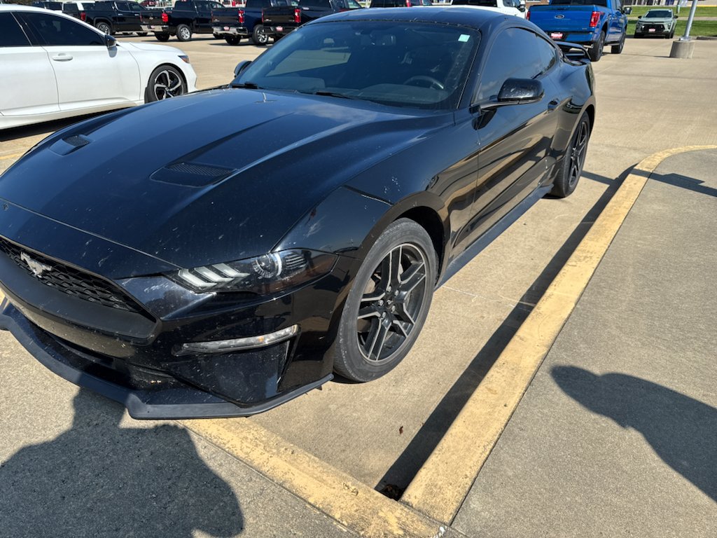 Used 2019 Black Ford EcoBoost image 1
