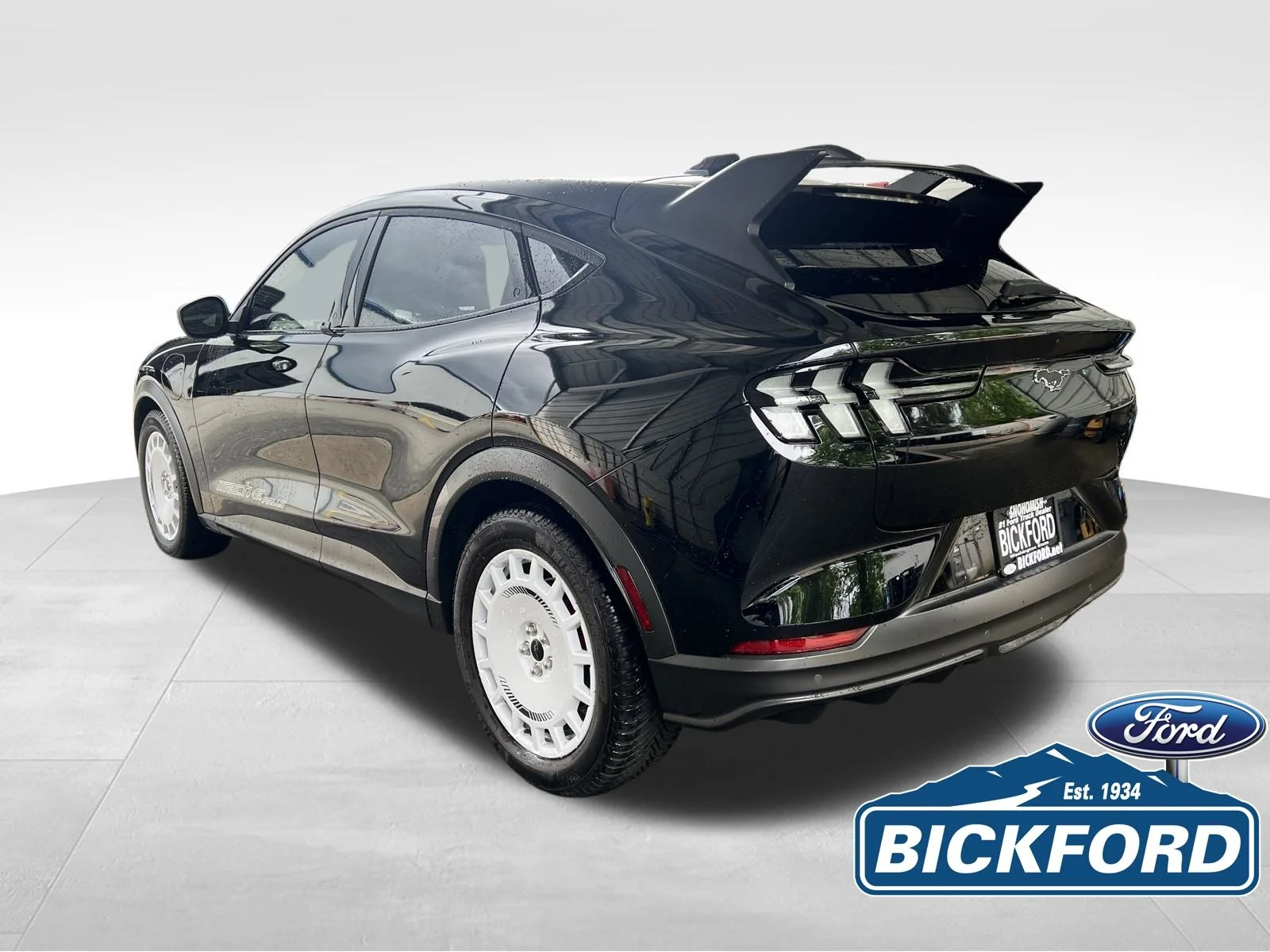 2025 Ford Mustang Mach-E GT - Photo 15