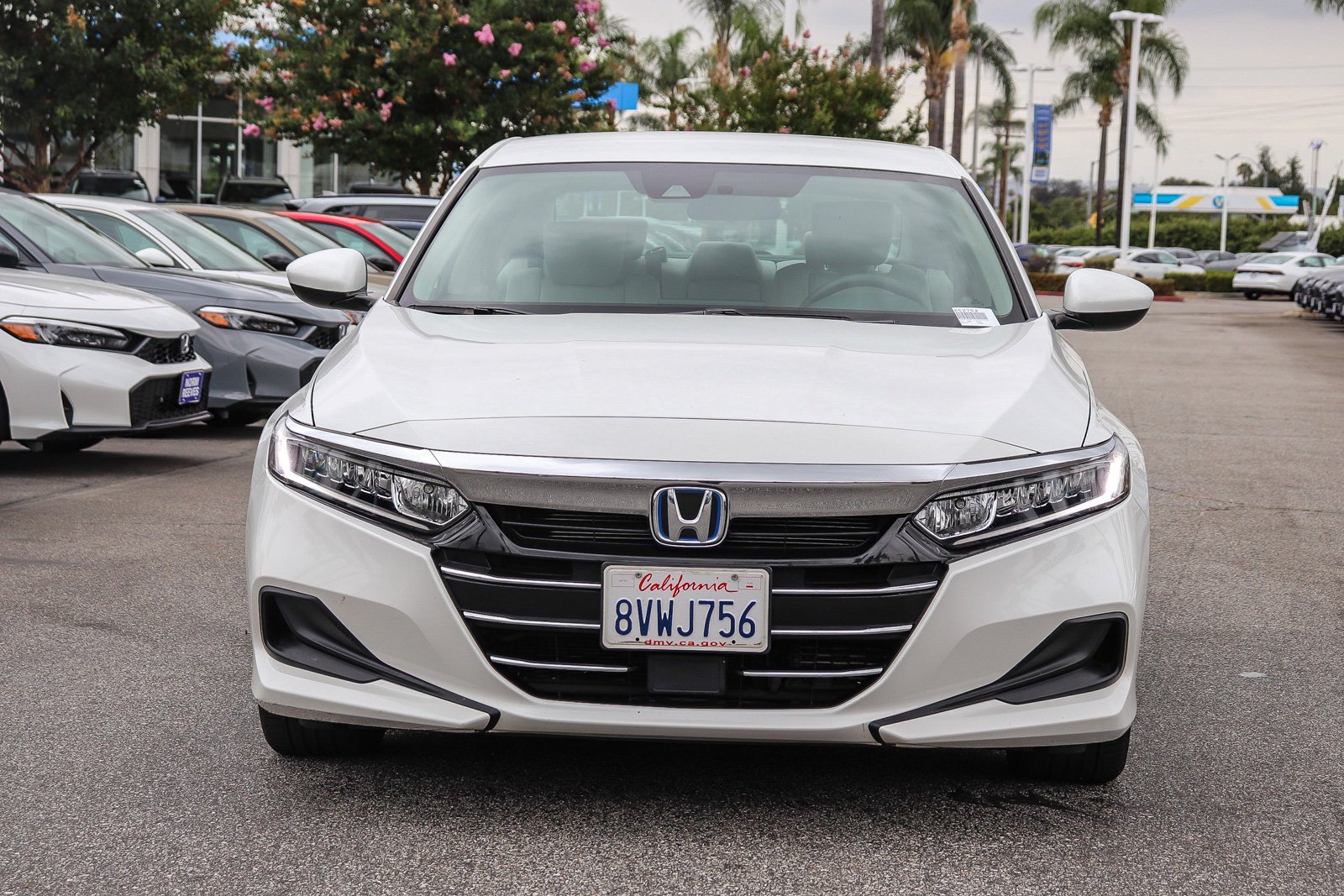 Certified Used 2021 Platinum White Pearl Honda Base image 2