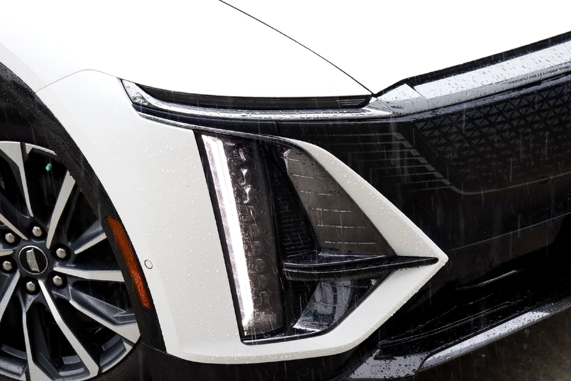 Used 2024 Cadillac LYRIQ Sport 1 with VIN 1GYKPTRK6RZ103498 for sale in San Antonio, TX