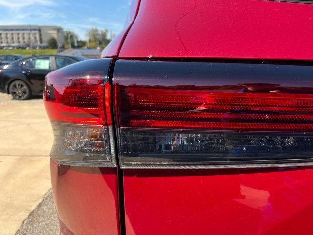 New 2026 Ruby Flare Pearl Toyota Platinum image 34