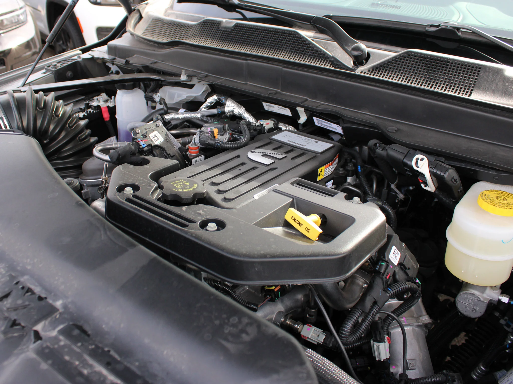 New 2026 Grey RAM Limited* image 9