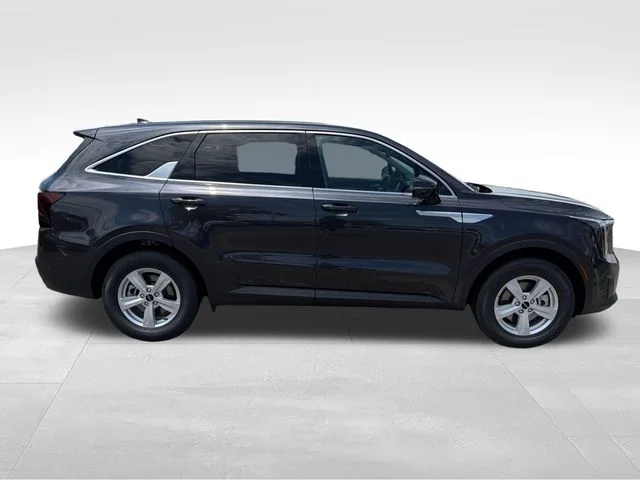 New 2026 Panthera Metal Kia LX image 8