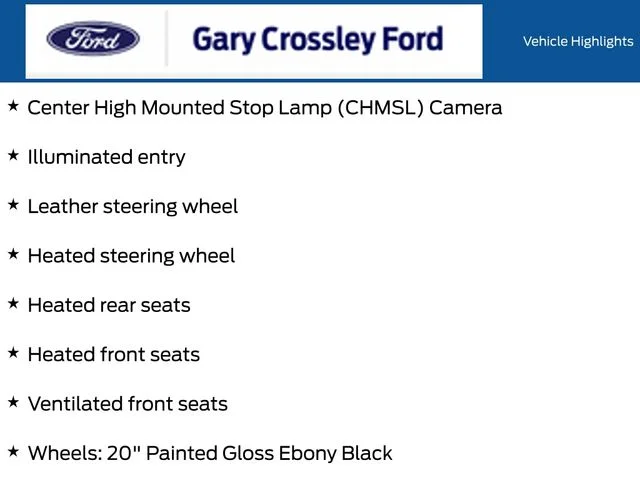 New 2026 Carbonized Gray Metallic Ford Platinum® image 26