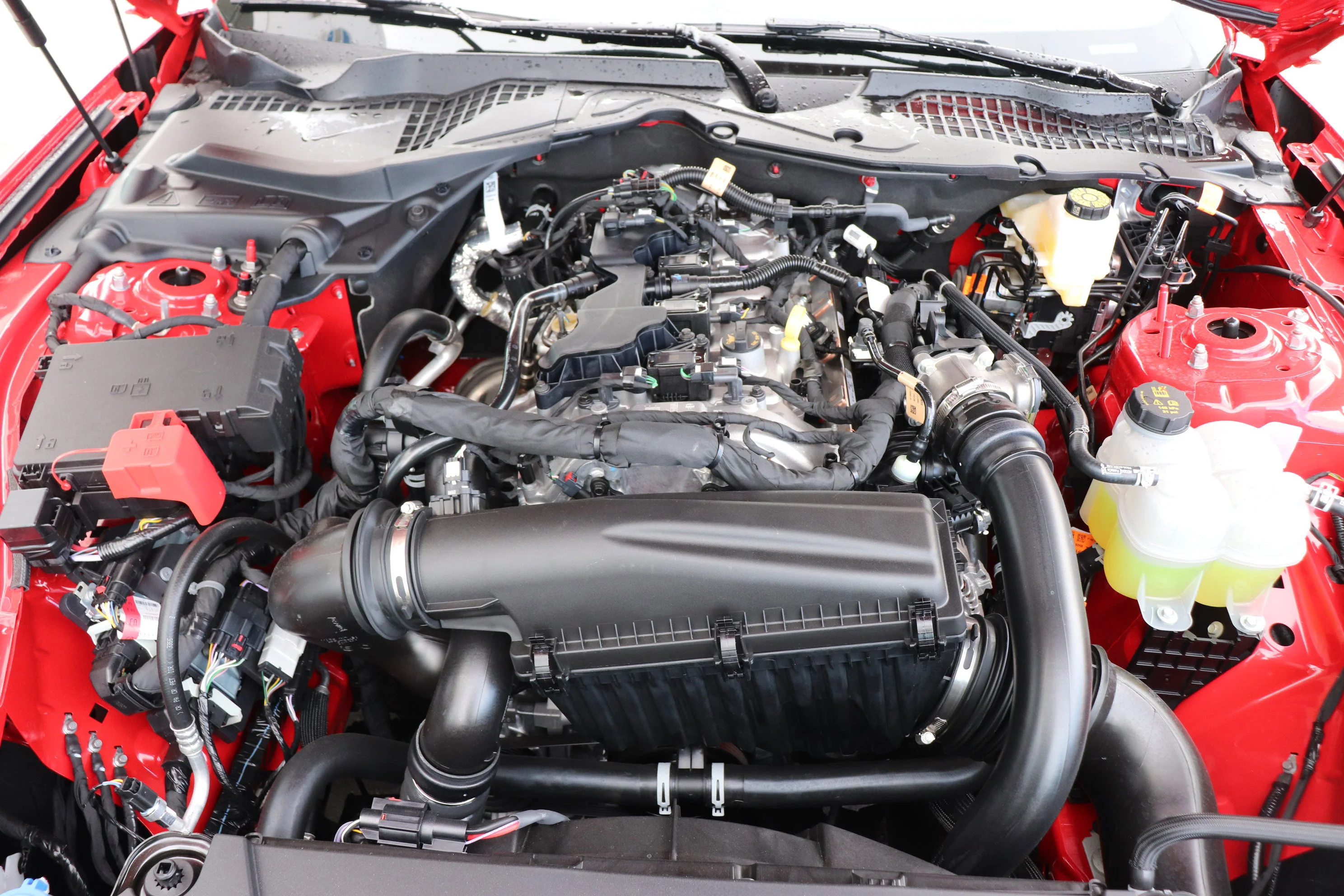 New 2026 RACE RED Ford EcoBoost Premium image 6
