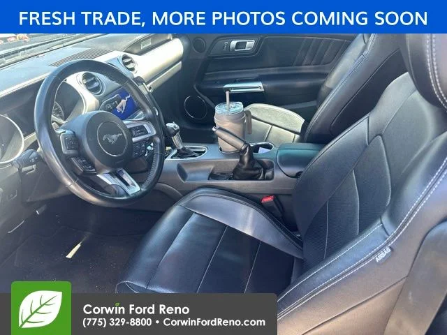 Used 2023 Gray Ford EcoBoost Premium image 8