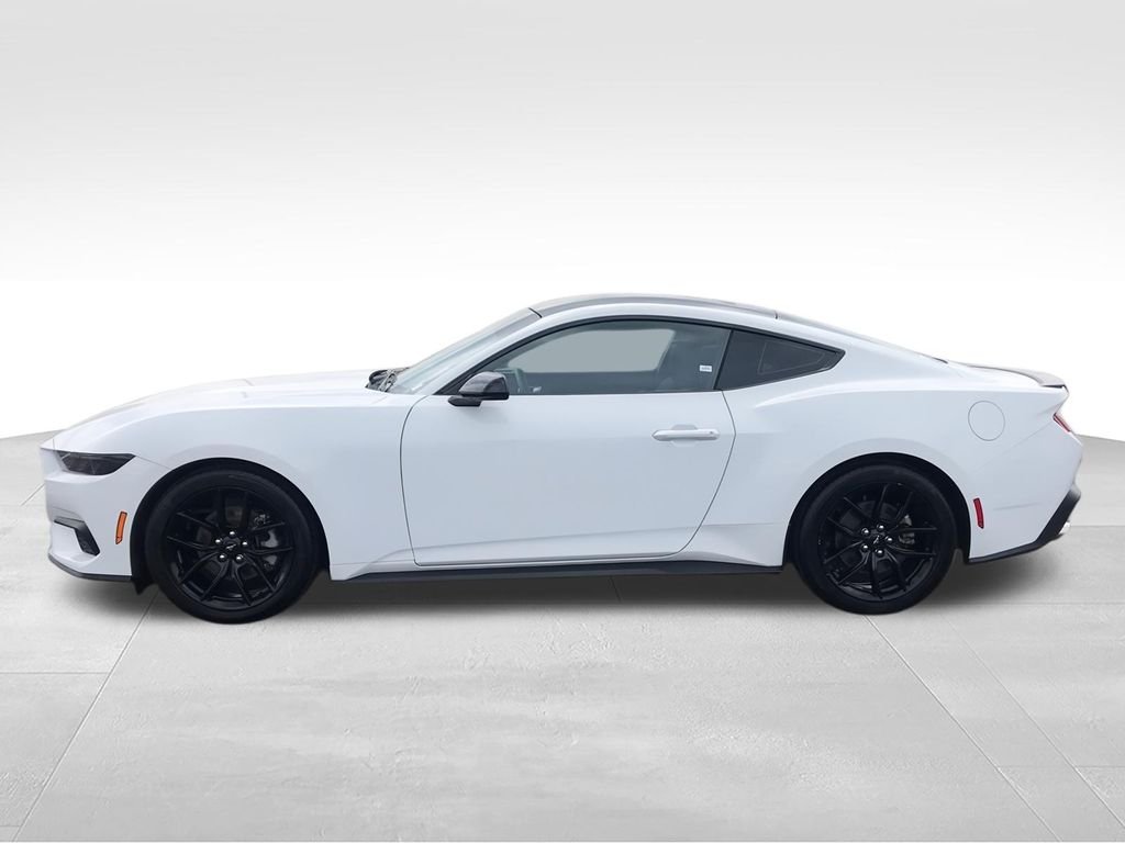 Used 2024 White Ford EcoBoost image 5