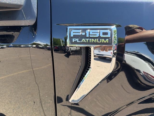 Used 2021 Black Metallic Ford Platinum image 12
