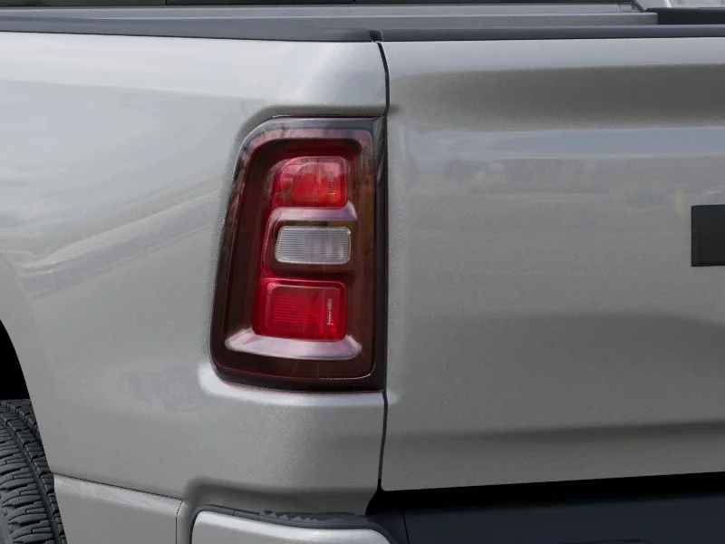 New 2026 Silver Zynith Exterior Paint RAM  image 9