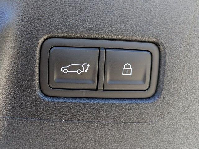 New 2026 Earthy Brass Matte Hyundai Calligraphy image 47