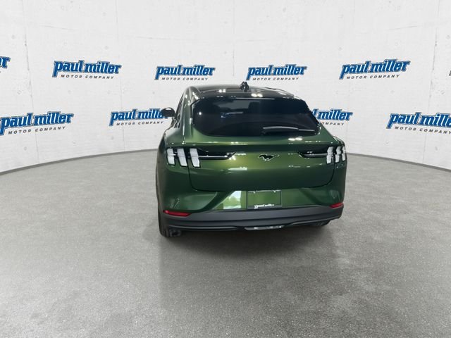 New 2026 Green Ford Premium image 9