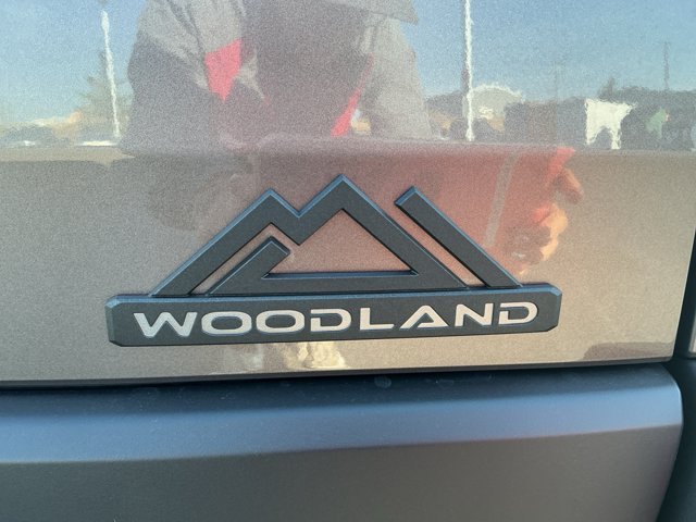 New 2026 Stepping Stone Toyota bZ Woodland image 20
