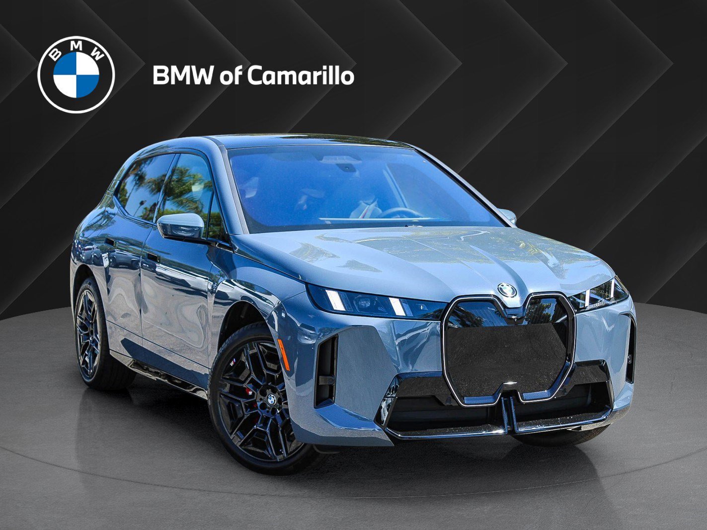 2026 BMW iX xDrive60's photo