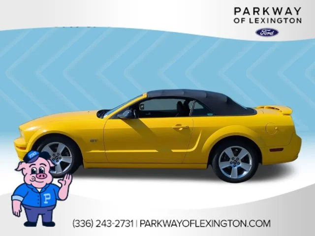 Used 2006  Ford GT Premium image 2