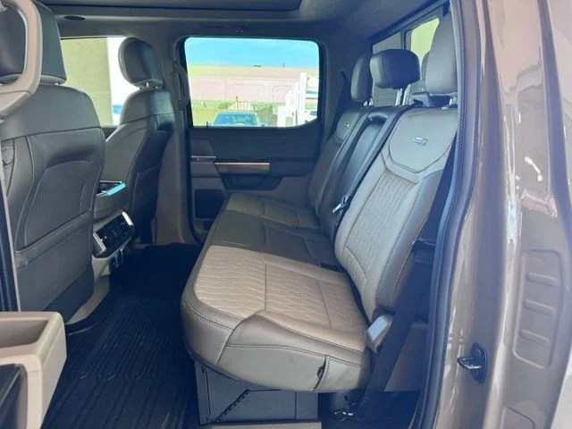 New 2026 Gray Ford Platinum image 11