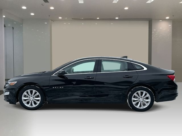 Used 2023 Chevrolet Malibu 1LT with VIN 1G1ZD5ST3PF204923 for sale in St. Clair Shores, MI