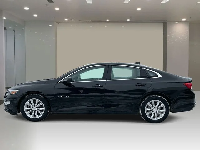 Used 2023 Chevrolet Malibu 1LT with VIN 1G1ZD5ST3PF204923 for sale in St. Clair Shores, MI