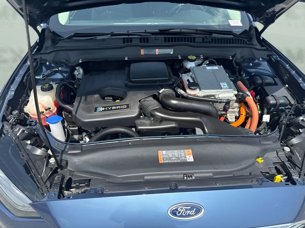 Used 2019 Blue Ford SE image 21