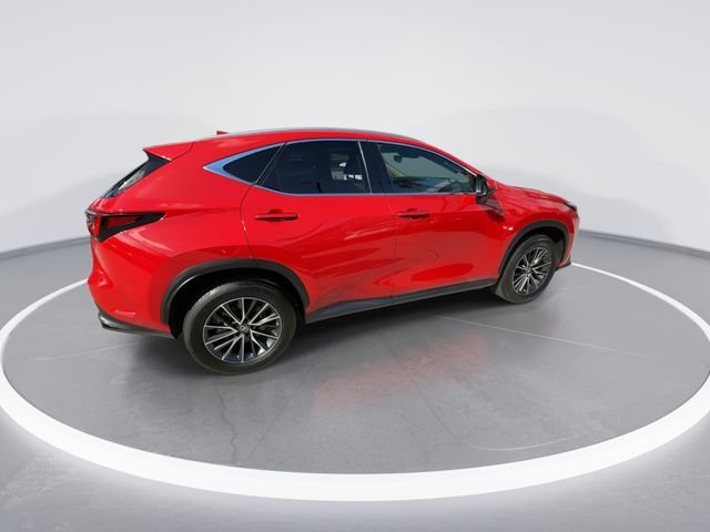 2025 Lexus NX 250 - Photo 8