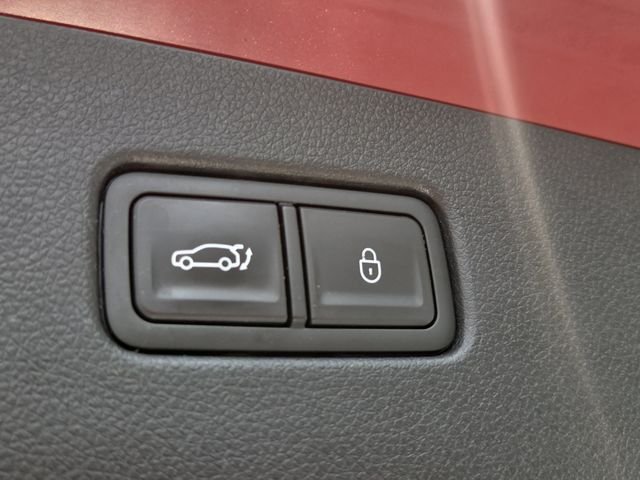 Used 2024 Red Genesis 2.5T image 17