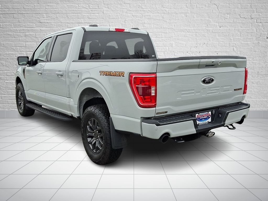 2023 Ford F-150 Tremor - Photo 7