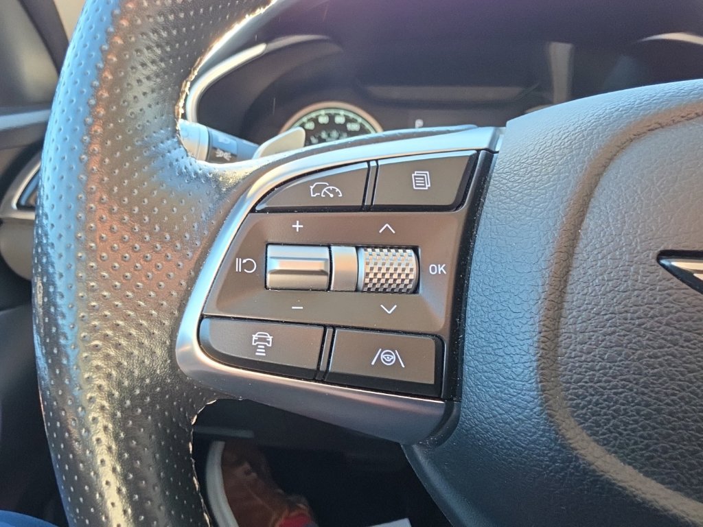 Used 2025 Gray Genesis 2.5T image 22