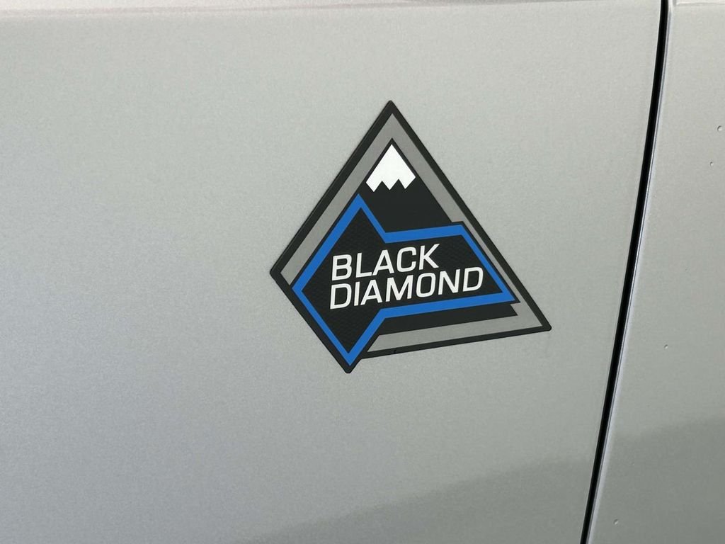 Used 2024 Silver Ford Black Diamond image 10