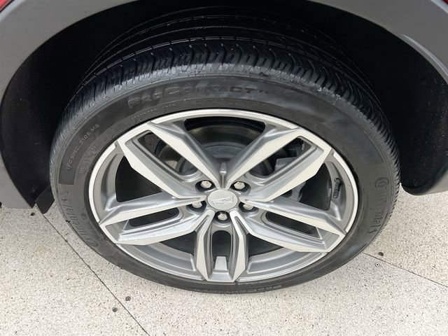Photo 41