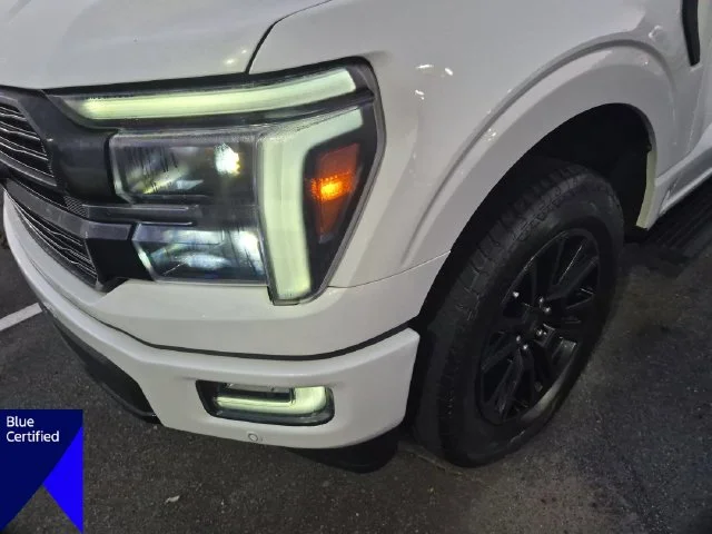 Used 2024 White Ford Platinum image 9