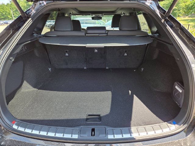 New 2026 Caviar Lexus PREMIUM PLUS image 26