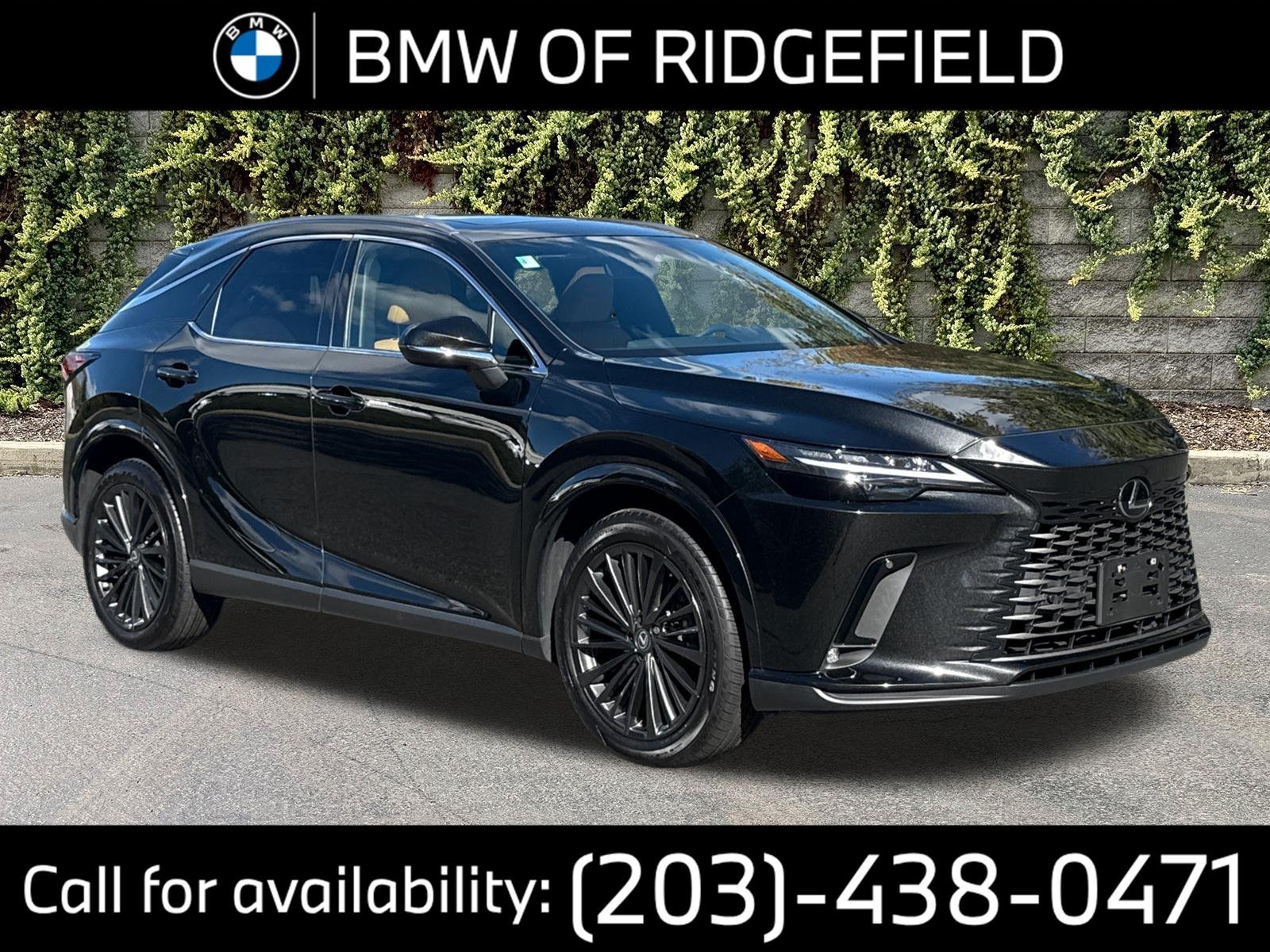 2025 Lexus RX 350