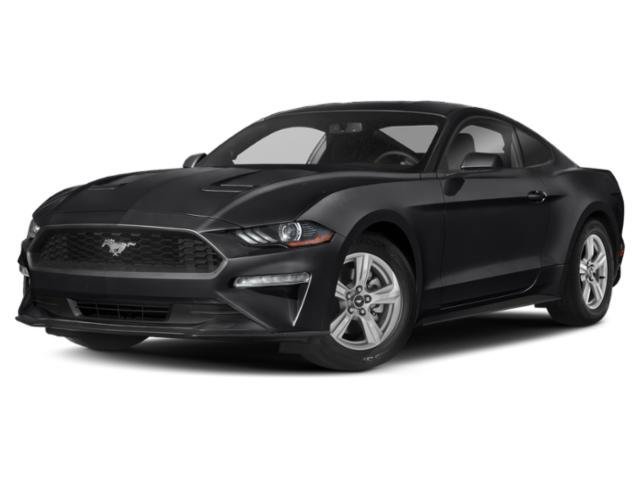 Used 2020 Shadow Black Ford EcoBoost image 1