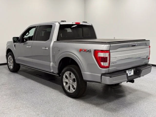 Used 2023 Silver Ford Platinum image 10