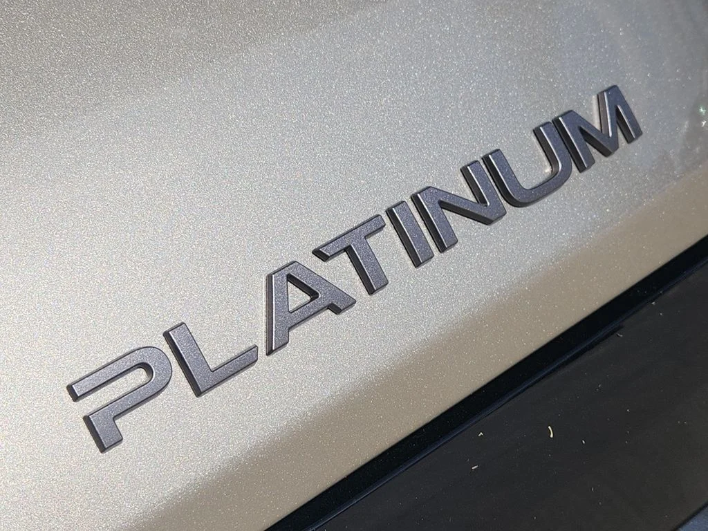 New 2026 Champagne Silver Metallic Nissan Platinum image 9
