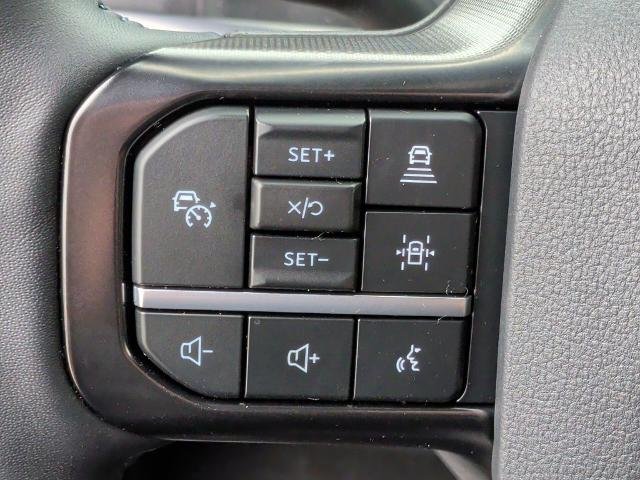 New 2026 Agate Black Metallic Ford F-250® Platinum® image 64