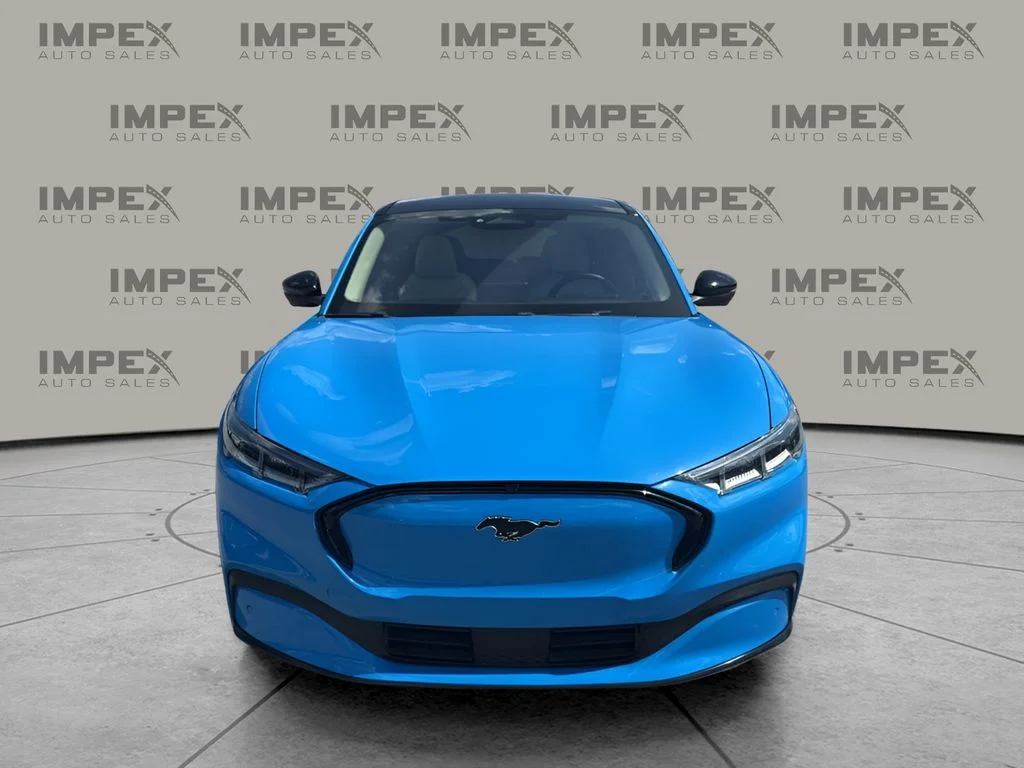 Used 2023 Blue Ford Premium image 8