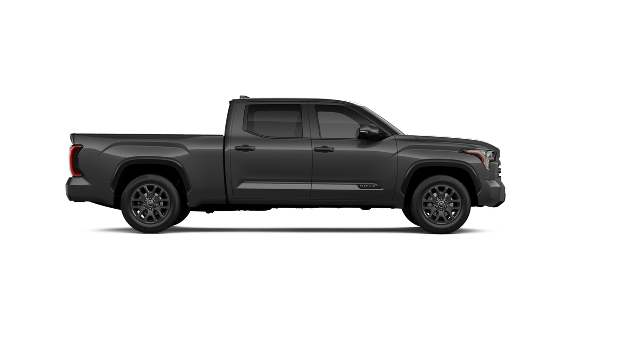 New 2026 Magnetic Gray Metallic Toyota Platinum image 34