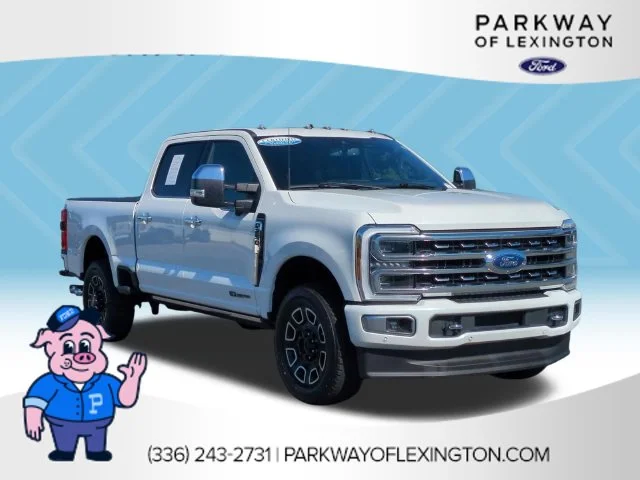 Used 2024 White Ford Platinum image 7