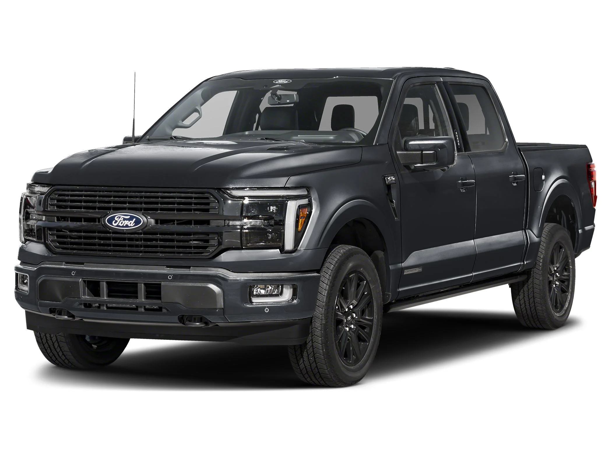 New 2026 Agate Black Metallic Ford Platinum image 14