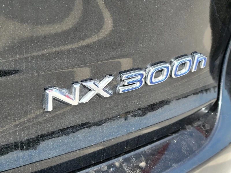 Used 2020 Caviar LEXUS 300H image 4