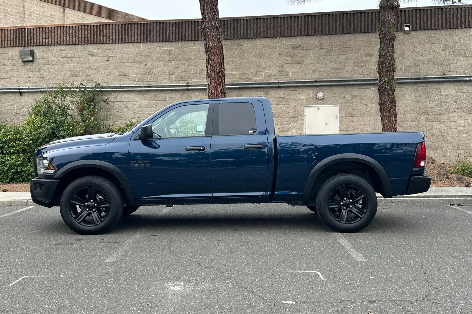 Used 2022 Blue Ram Warlock image 6