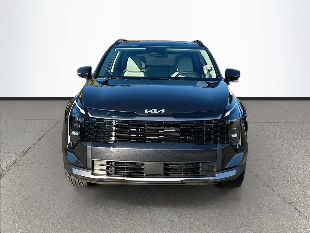 New 2026 Panthera Metal Kia EX image 2