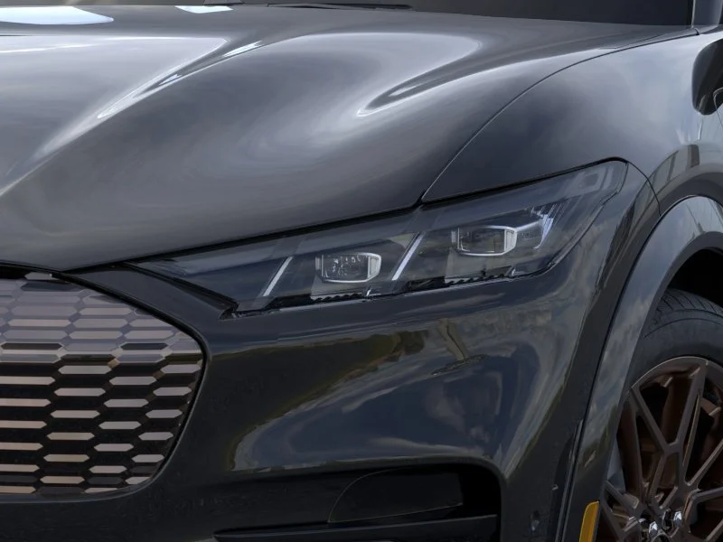 2025 Ford Mustang Mach-E GT - Photo 18