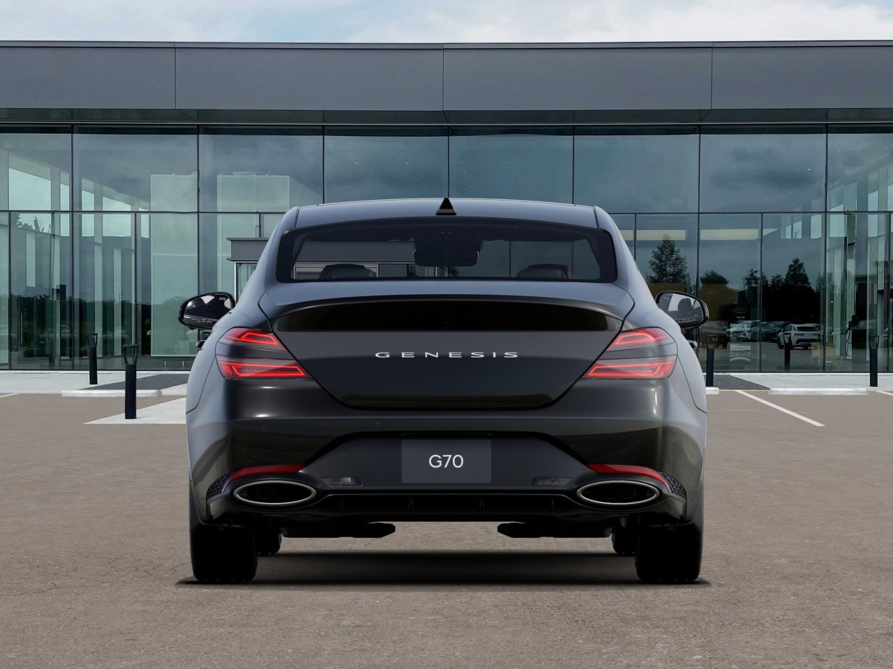New 2027 Vik Black Genesis Standard image 9